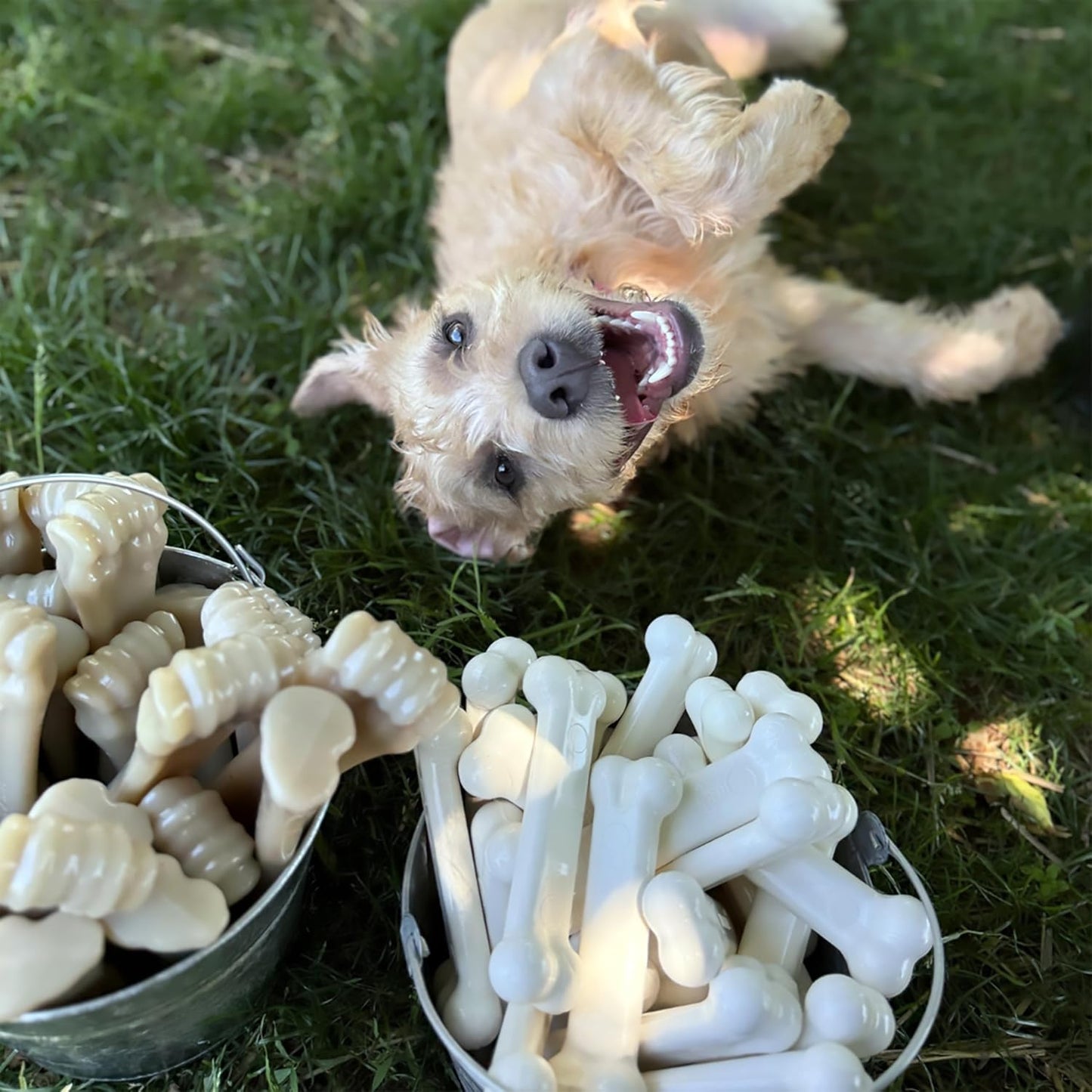 Original Bone Power Chew Toy for Dogs, Durable Dog Toys for Aggressive Chewers, Basted Blast Bacon & Chicken Flavor, Medium - up to 35 Lbs, 2 Pack