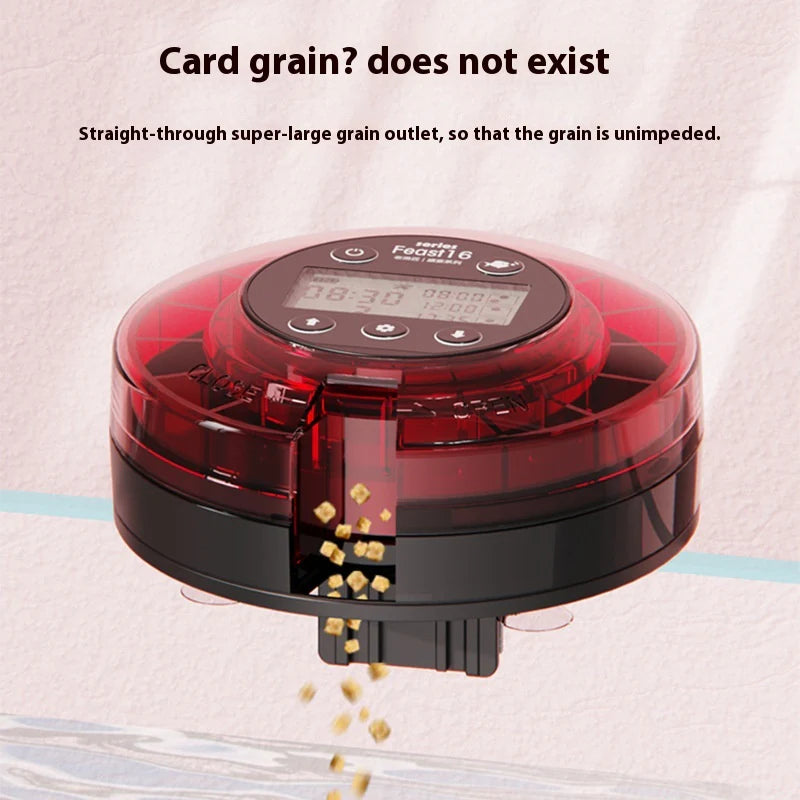 Automated Aquarium Feeder Schedule for Fish Food